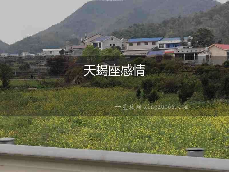 天蝎座感情
