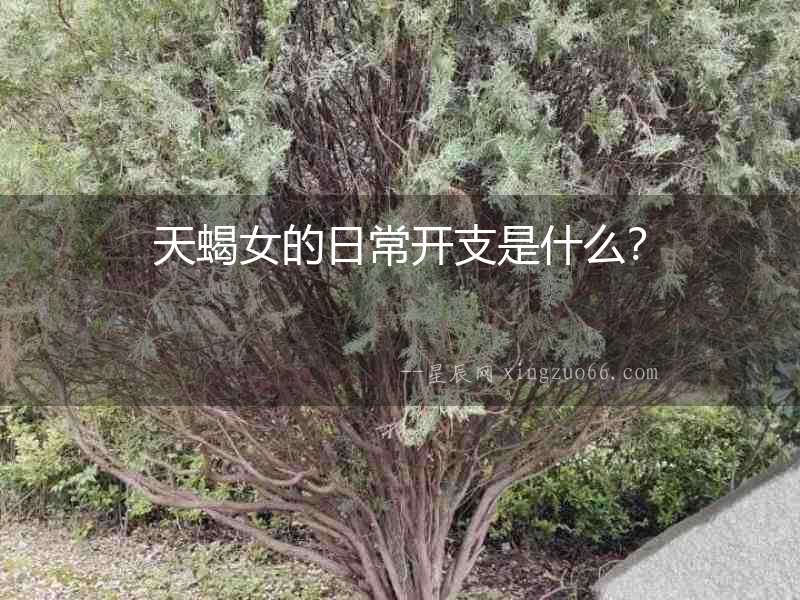 天蝎女的日常開(kāi)支是什么？