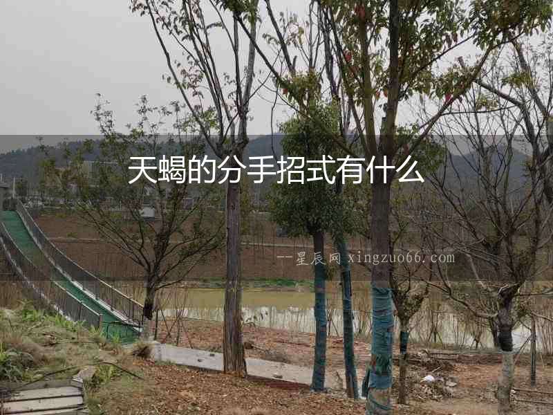 天蝎的分手招式有什么