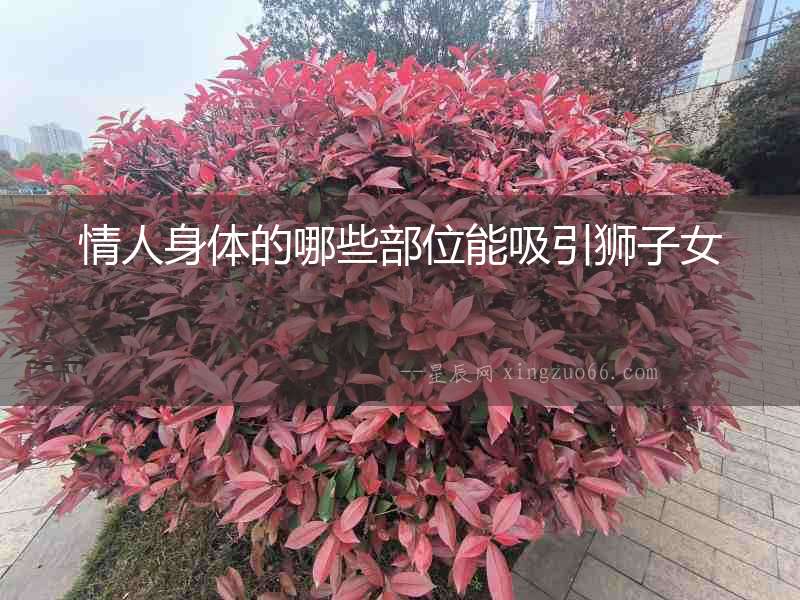 情人身體的哪些部位能吸引獅子女