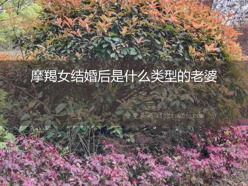 摩羯女結婚后是什么類型的老婆