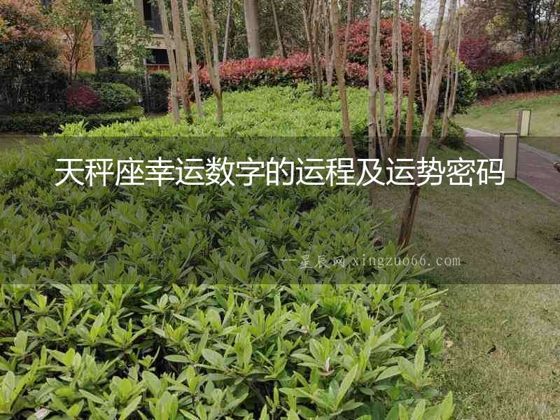 天秤座幸運(yùn)數(shù)字的運(yùn)程及運(yùn)勢密碼