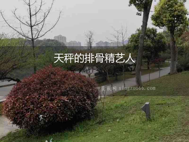 天秤的排骨精藝人
