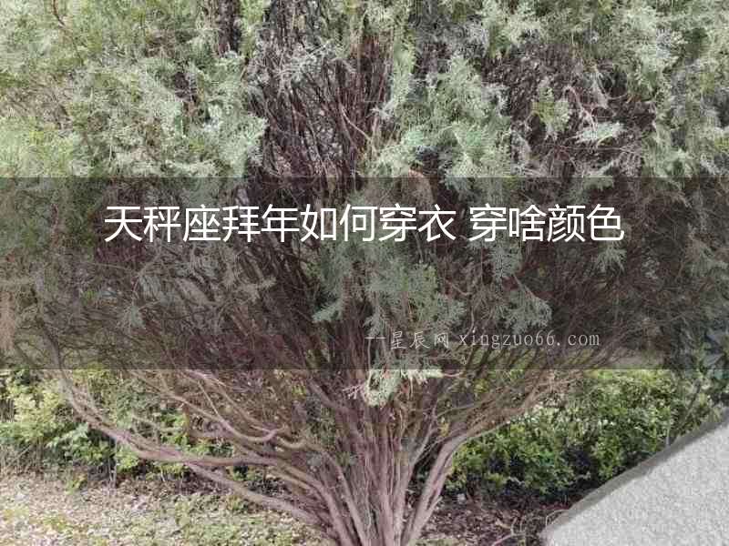 天秤座拜年如何穿衣 穿啥顏色