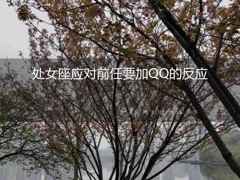 處女座應對前任要加QQ的反應