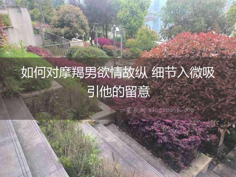如何對摩羯男欲情故縱 細節入微吸引他的留意