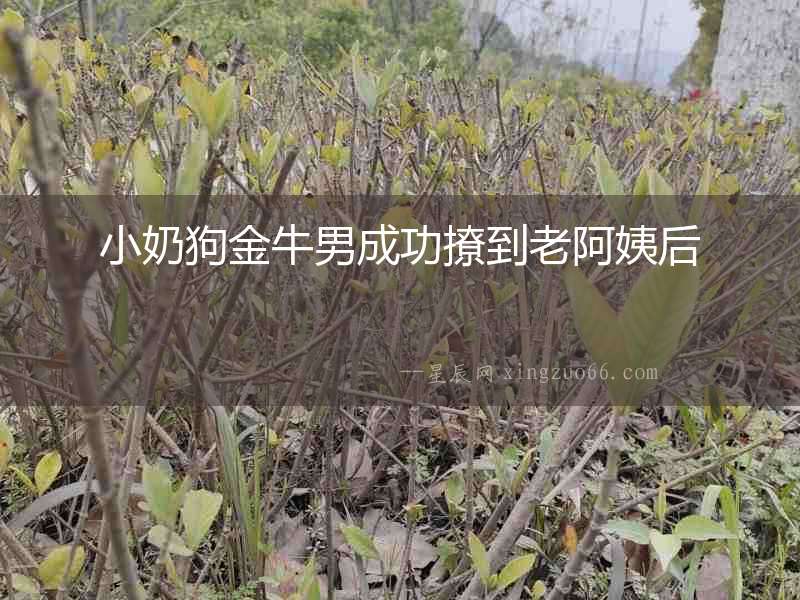 小奶狗金牛男成功撩到老阿姨后