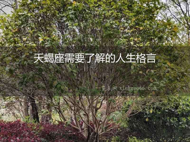 天蝎座需要了解的人生格言