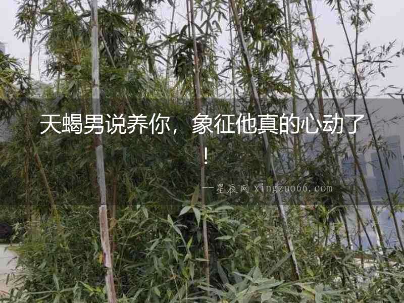 天蝎男說養你，象征他真的心動了！