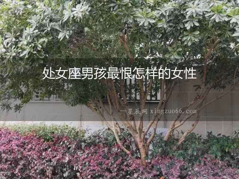 處女座男孩最恨怎樣的女性