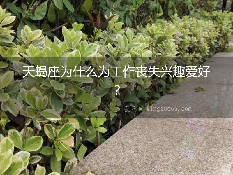 天蝎座為什么為工作喪失興趣愛好？