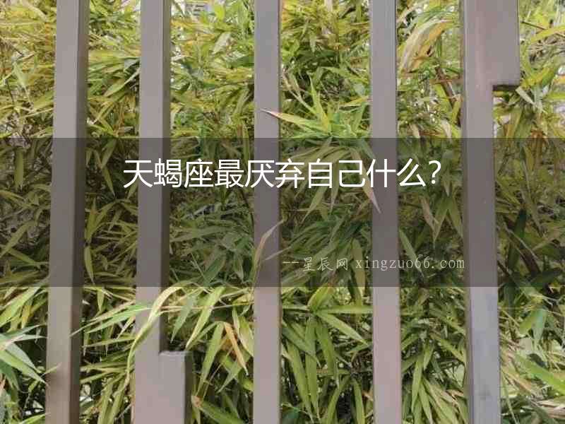 天蝎座最厭棄自己什么？