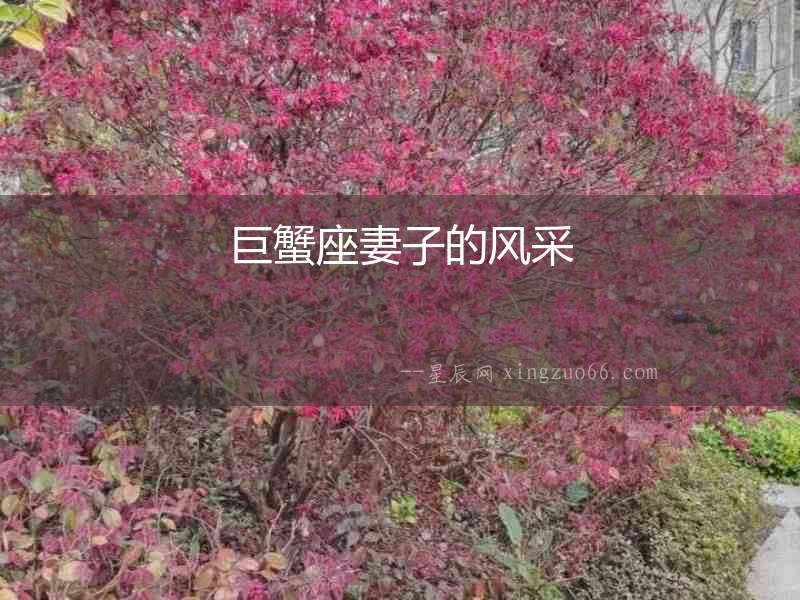 巨蟹座妻子的風采