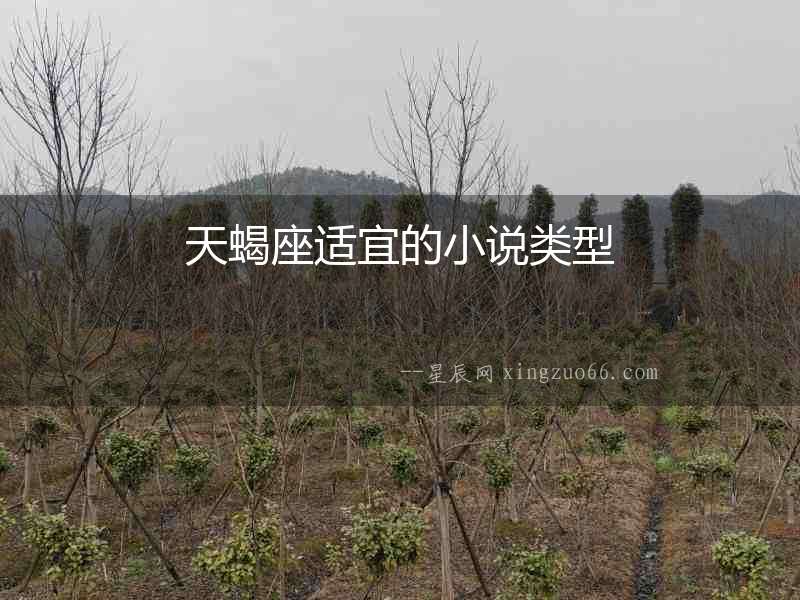 天蝎座適宜的小說類型
