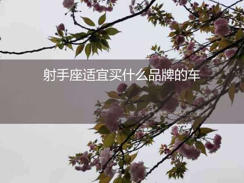 射手座適宜買什么品牌的車