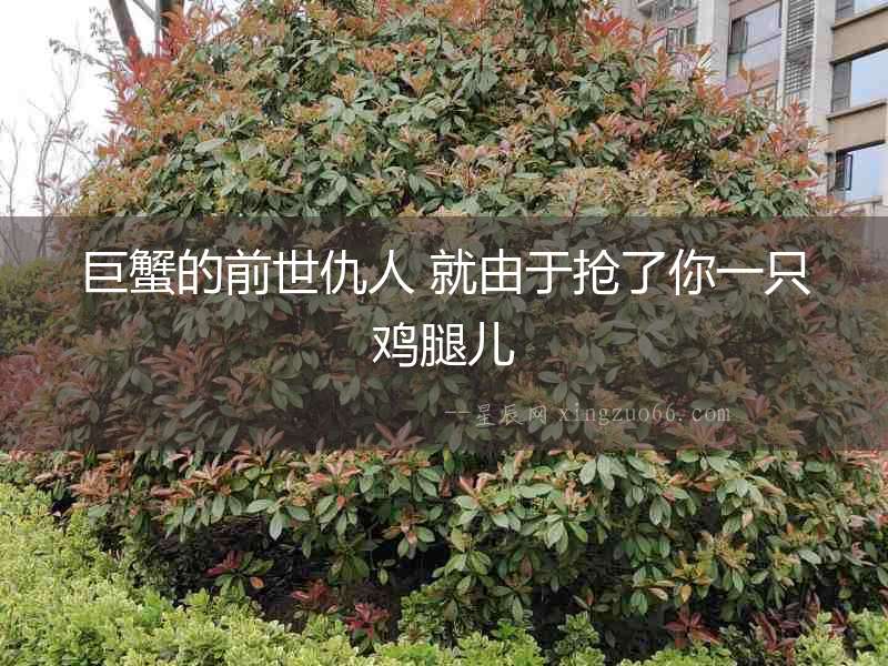 巨蟹的前世仇人 就由于搶了你一只雞腿兒