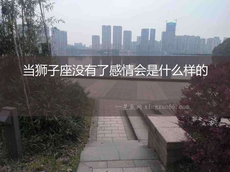 當獅子座沒有了感情會是什么樣的