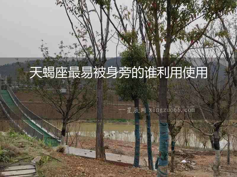 天蝎座最易被身旁的誰利用使用