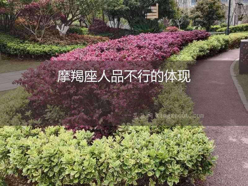 摩羯座人品不行的體現(xiàn)
