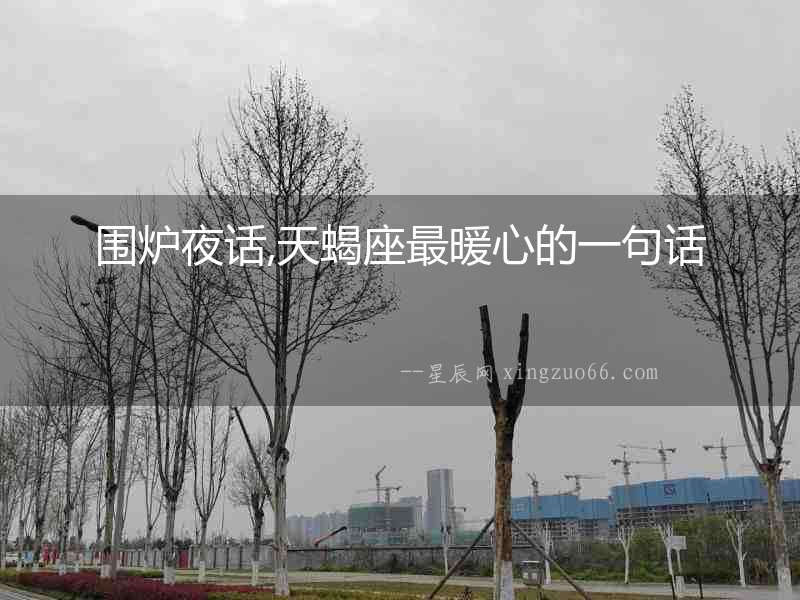 圍爐夜話,天蝎座最暖心的一句話