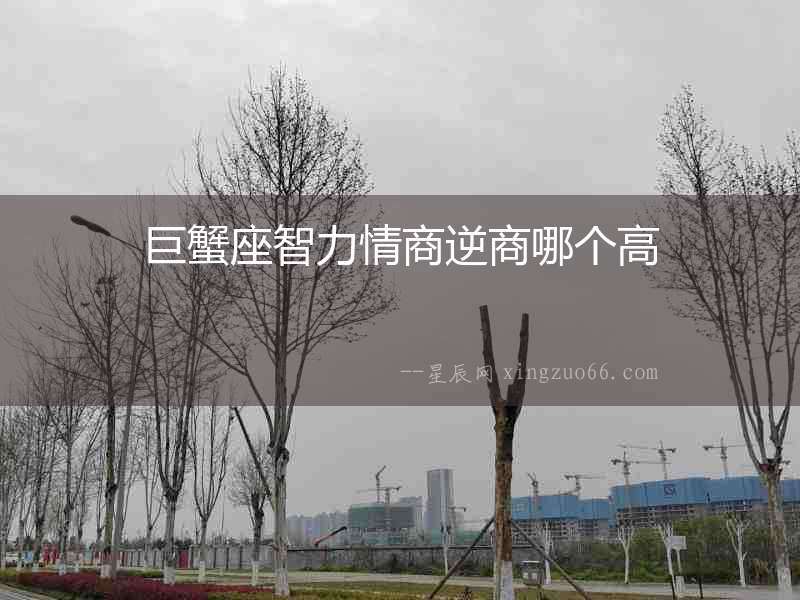 巨蟹座智力情商逆商哪個高