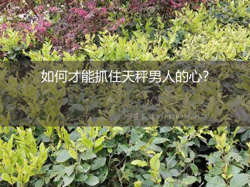 如何才能抓住天秤男人的心？