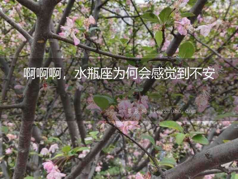 啊啊啊，水瓶座為何會感覺到不安