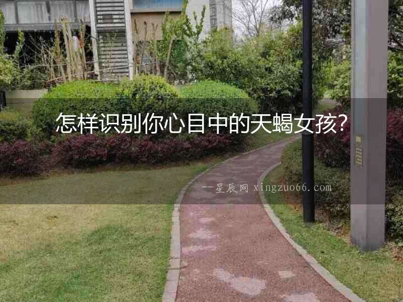 怎樣識別你心目中的天蝎女孩？