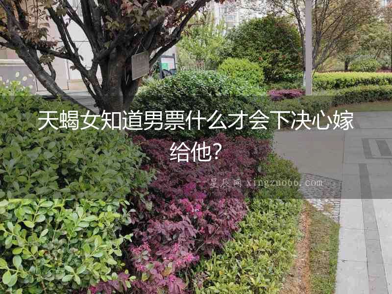 天蝎女知道男票什么才會下決心嫁給他？