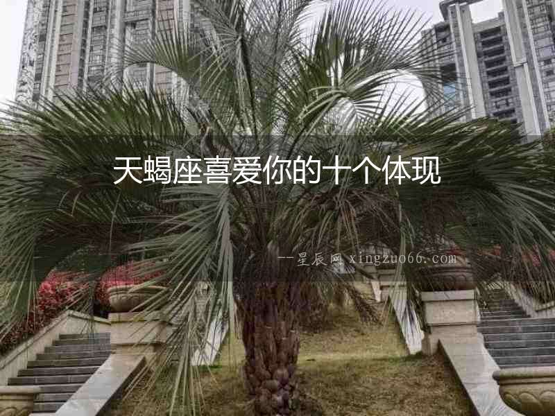 天蝎座喜愛你的十個體現