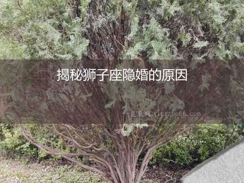 揭秘獅子座隱婚的原因