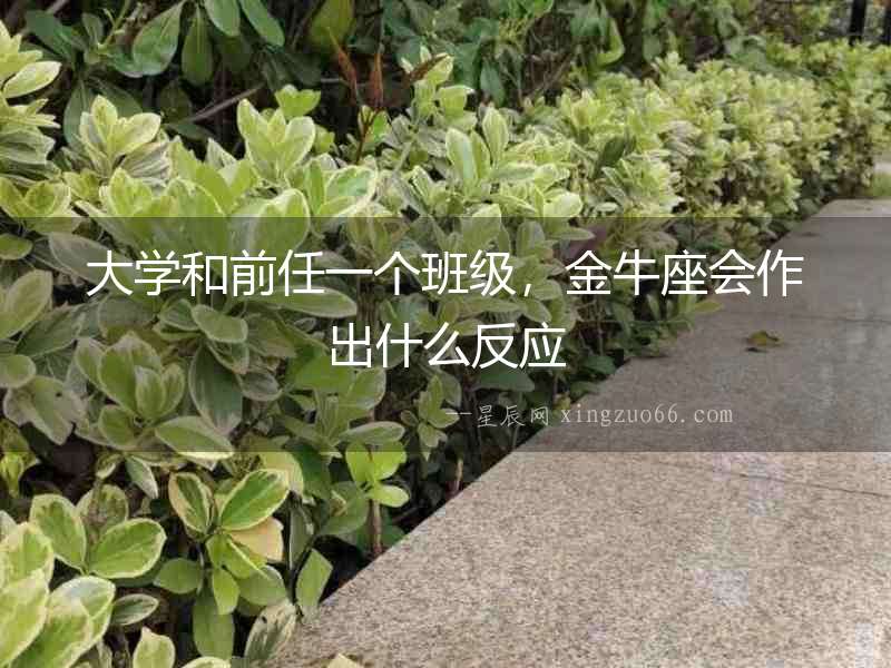 大學和前任一個班級，金牛座會作出什么反應