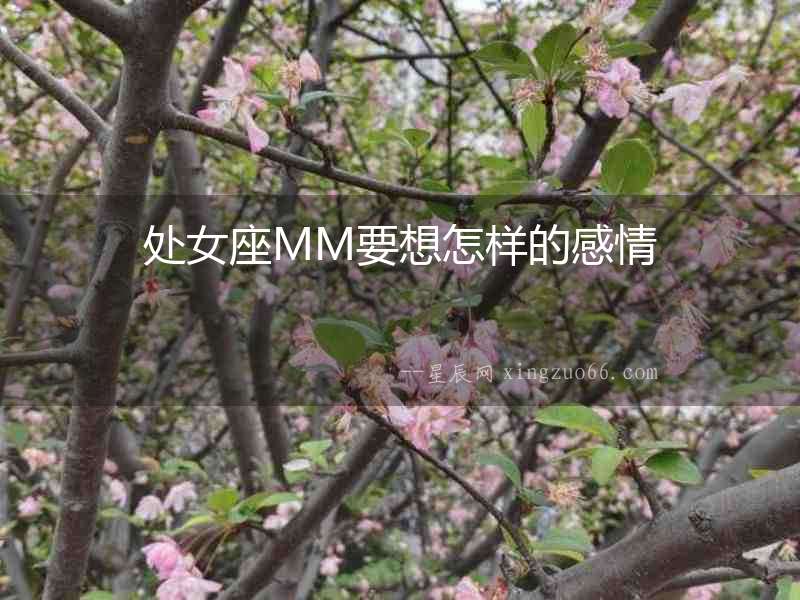 處女座MM要想怎樣的感情