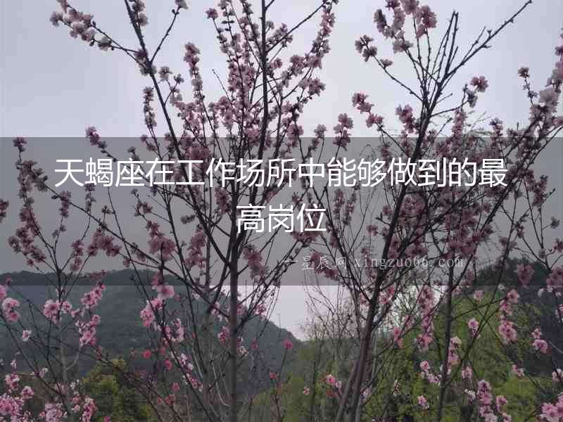 天蝎座在工作場所中能夠做到的最高崗位