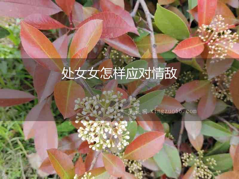 處女女怎樣應對情敵
