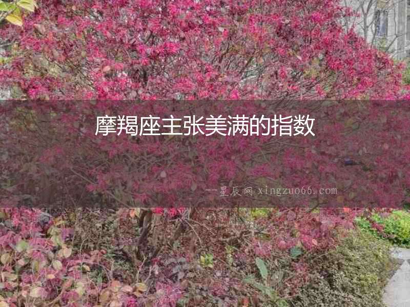 摩羯座主張美滿的指數