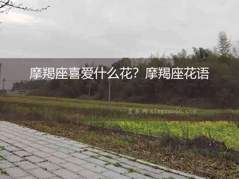 摩羯座喜愛什么花？摩羯座花語