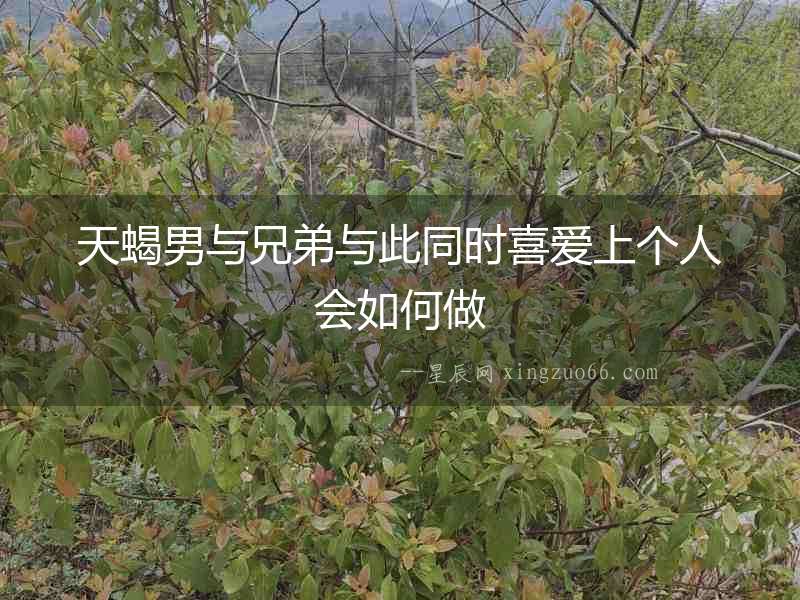 天蝎男與兄弟與此同時喜愛上個人會如何做