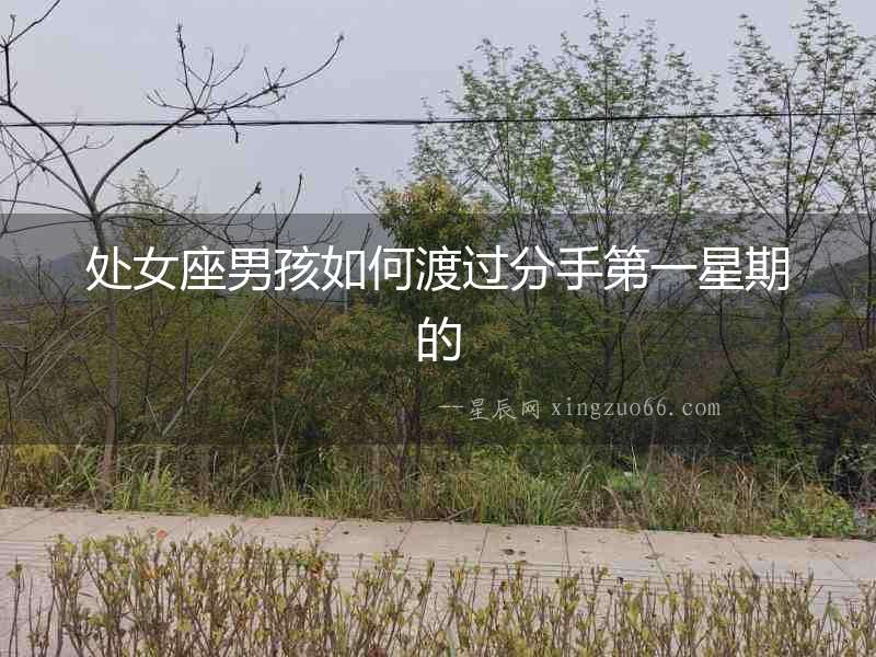 處女座男孩如何渡過分手第一星期的