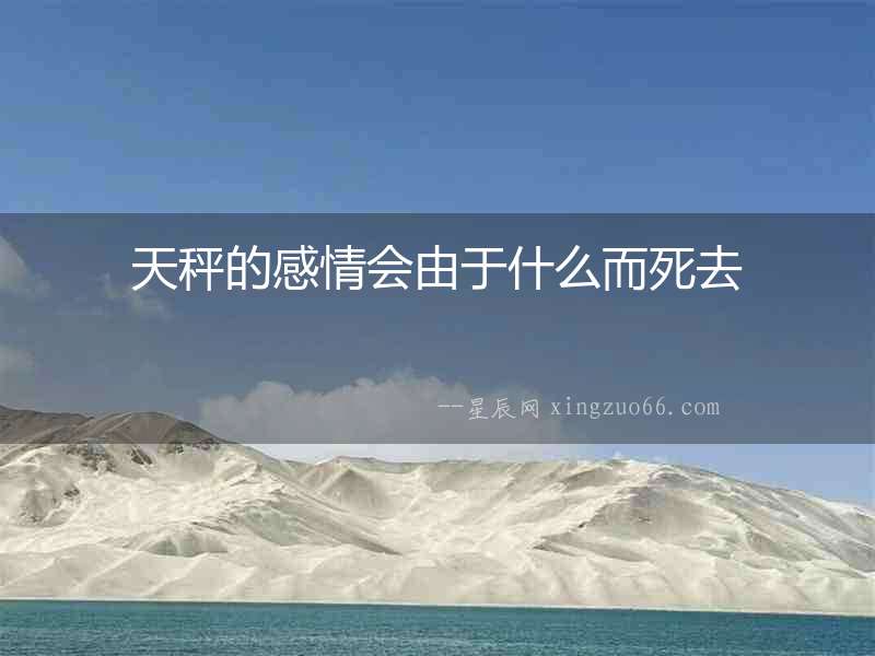 天秤的感情會由于什么而死去