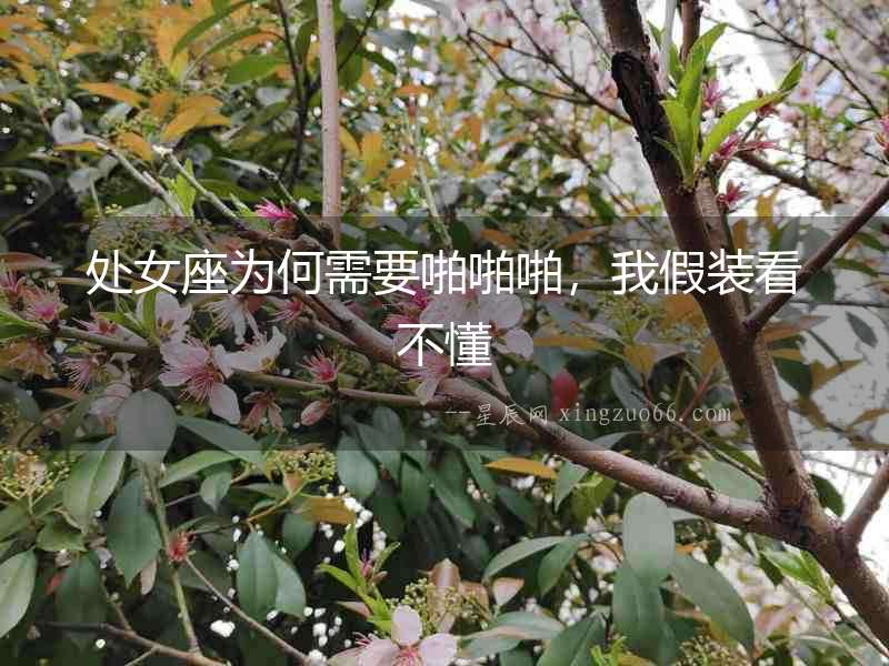 處女座為何需要啪啪啪，我假裝看不懂