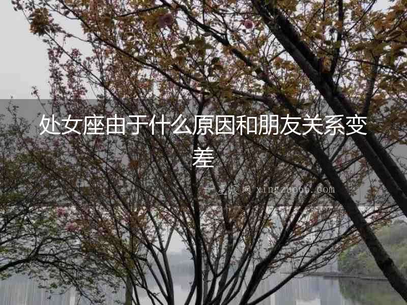 處女座由于什么原因和朋友關(guān)系變差