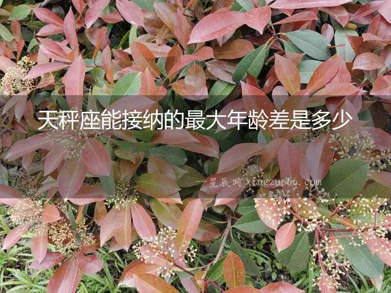 天秤座能接納的最大年齡差是多少