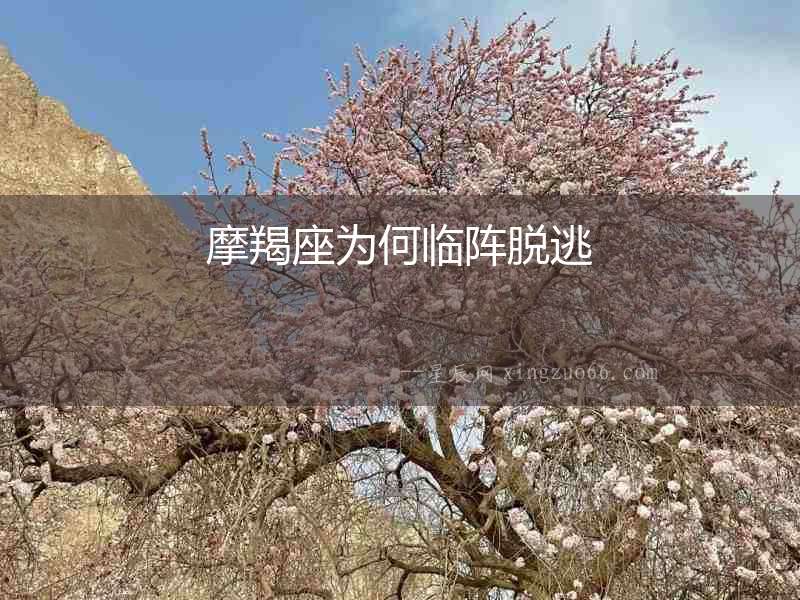 摩羯座為何臨陣脫逃