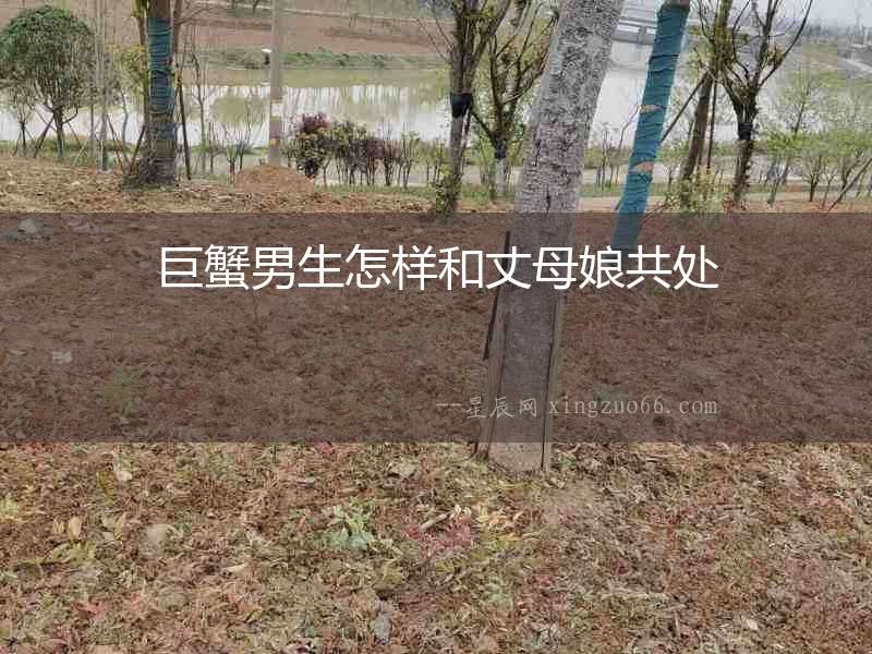 巨蟹男生怎樣和丈母娘共處