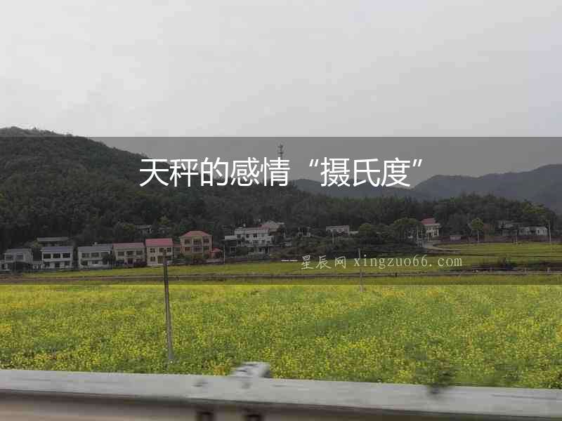 天秤的感情“攝氏度”