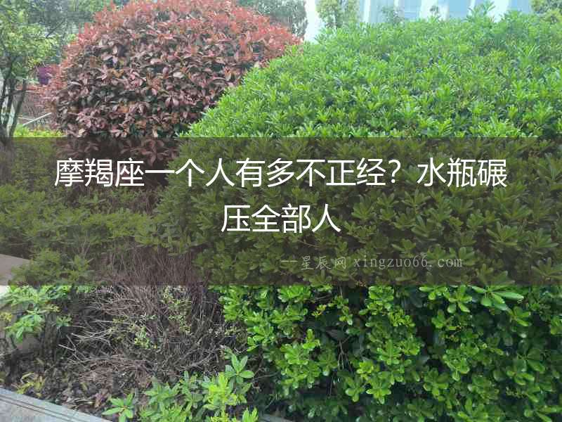 摩羯座一個人有多不正經？水瓶碾壓全部人