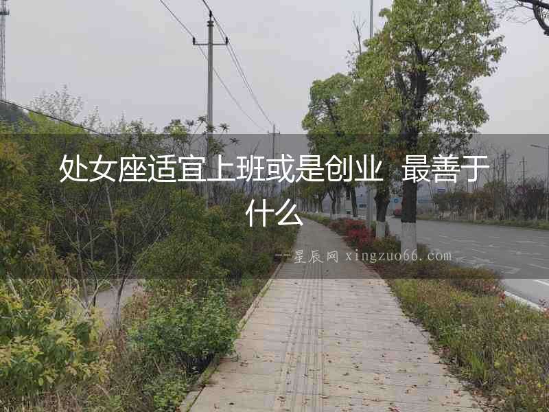 處女座適宜上班或是創業  最善于什么