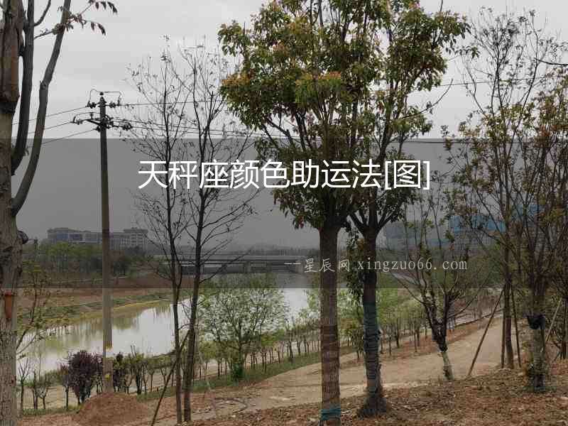天秤座顏色助運法[圖]