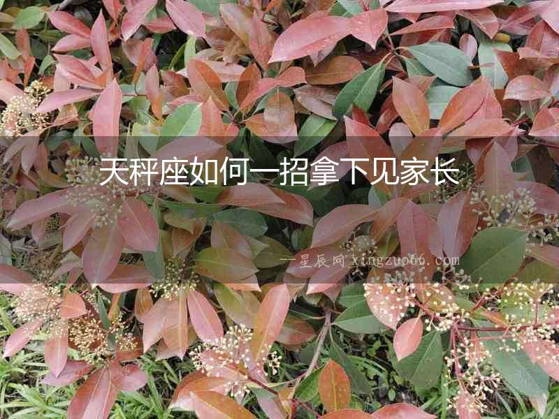 天秤座如何一招拿下見家長